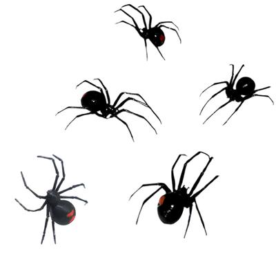 1/2/4/6Pcs Magnetic 3D Spider Decoration Scary Realistic Black Spider Halloween Prank Props Garage Door Mailbox Locker Refrigerator Magnet Fake Spider