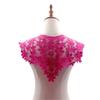 Lace Fabric Hollow Neckline Fashion Shawl Vest Exquisite Fake Neckline Collar  Feminine Decorative