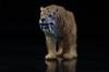 BACALYSO TNG Machairodus Pleistocene Animal Carnivorous PVC Plastic Model Display Ornament Saber-Toothed Tiger, Era, Figure, Saber-Toothed Tiger,
