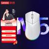 Lenovo Mouse Gamer com Fio Legion M5