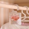 Household Hanging Wardrobe Fragrance Bag
