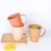 Creative Wheat Straw Coffee Mug, Mouthwash Cup, Toothbrush Holder, Plastic Travel Portable Tea Cup with Handle