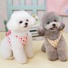 Pet cat dog leash clothes bow chest strap teddy bear pomeranian small dog out vest
