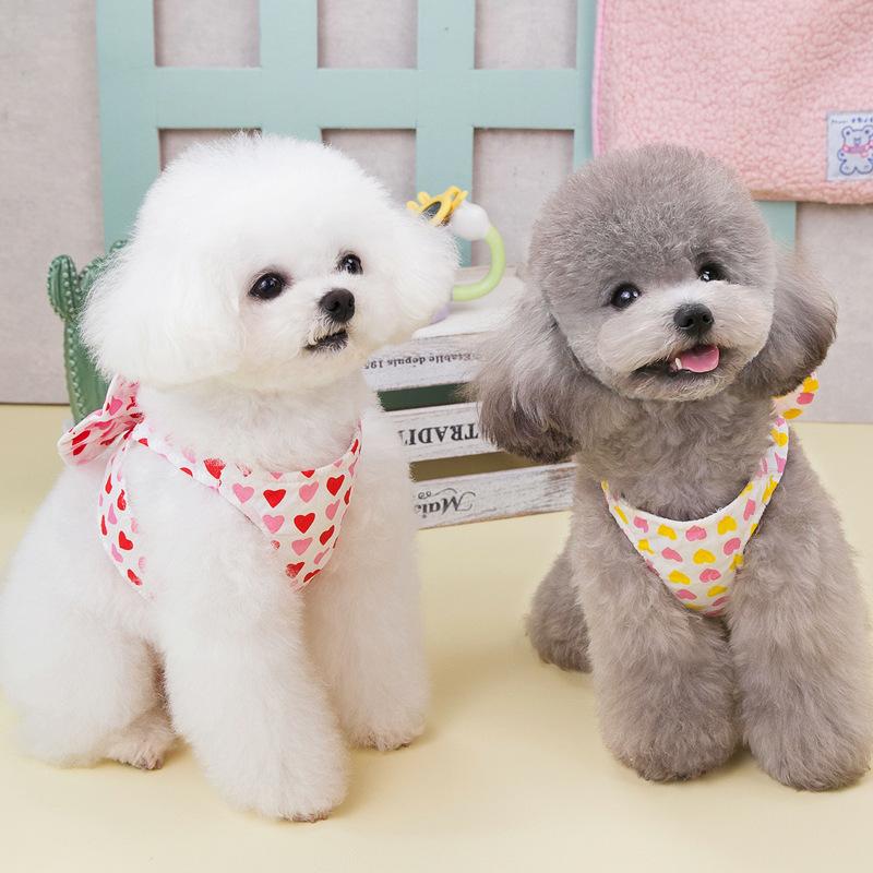 Pet cat dog leash clothes bow chest strap teddy bear pomeranian small dog out vest