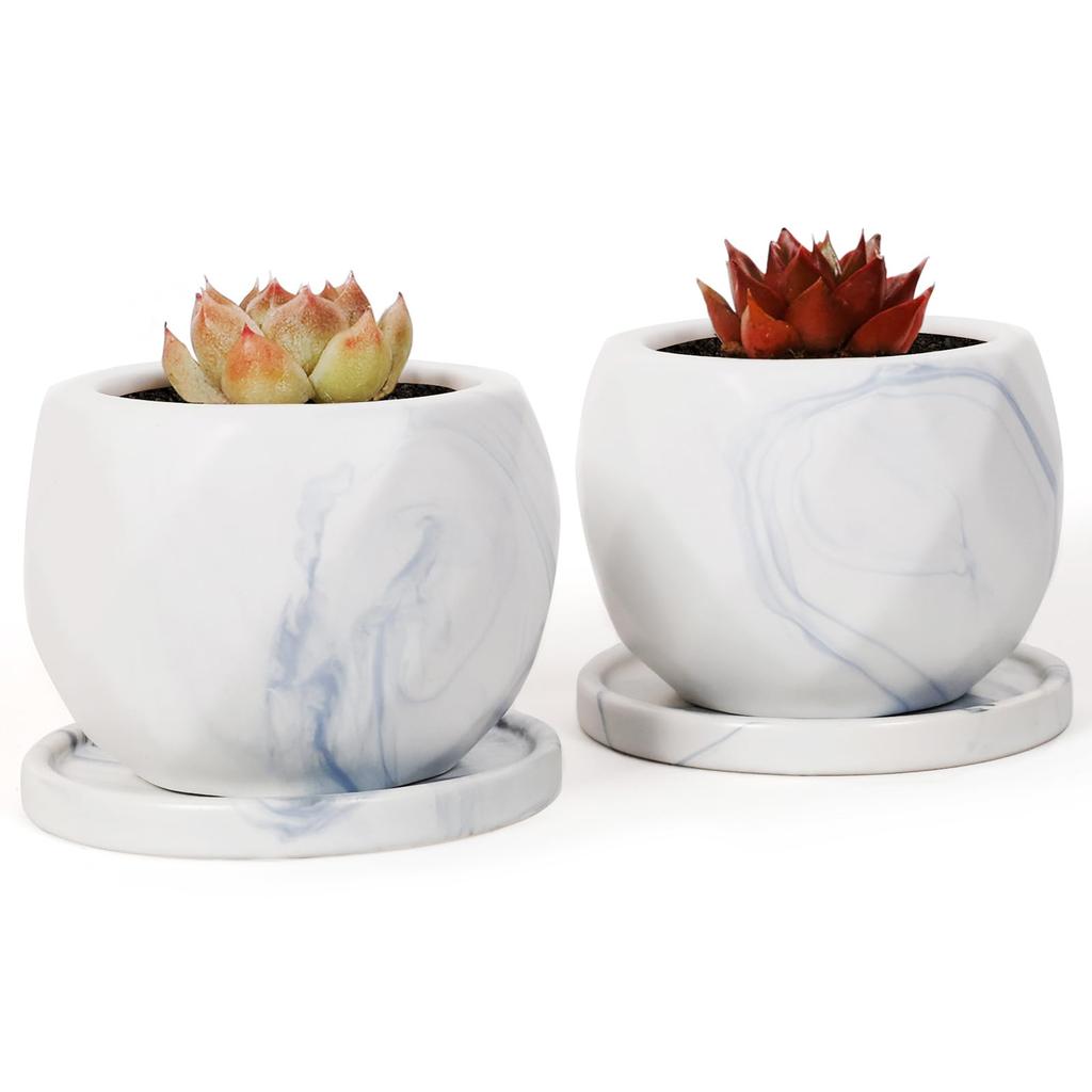 Umlaca Flower Ceramic Mini Flower Pot with Drain Cactus Ceramic Tray Pot Bottom Net No Plants Pot, Pot, Small, Hole, Pot, Stylish, Included, Included,