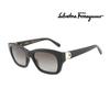 Salvatore Ferragamo Sunglasses SF1012S 001 Square Horn-rimmed UV Protection Women Men