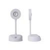 Smart LED Induction Wall Spotlight with Remote Control