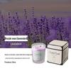 Cross-Border Aroma Candle: Long-lasting Soy Wax In Glass Cup for Home and Hotel Use