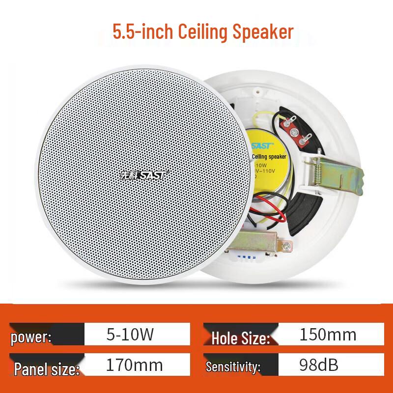 SAST ST-603 100W Bluetooth Ceiling Speaker System (CN version)