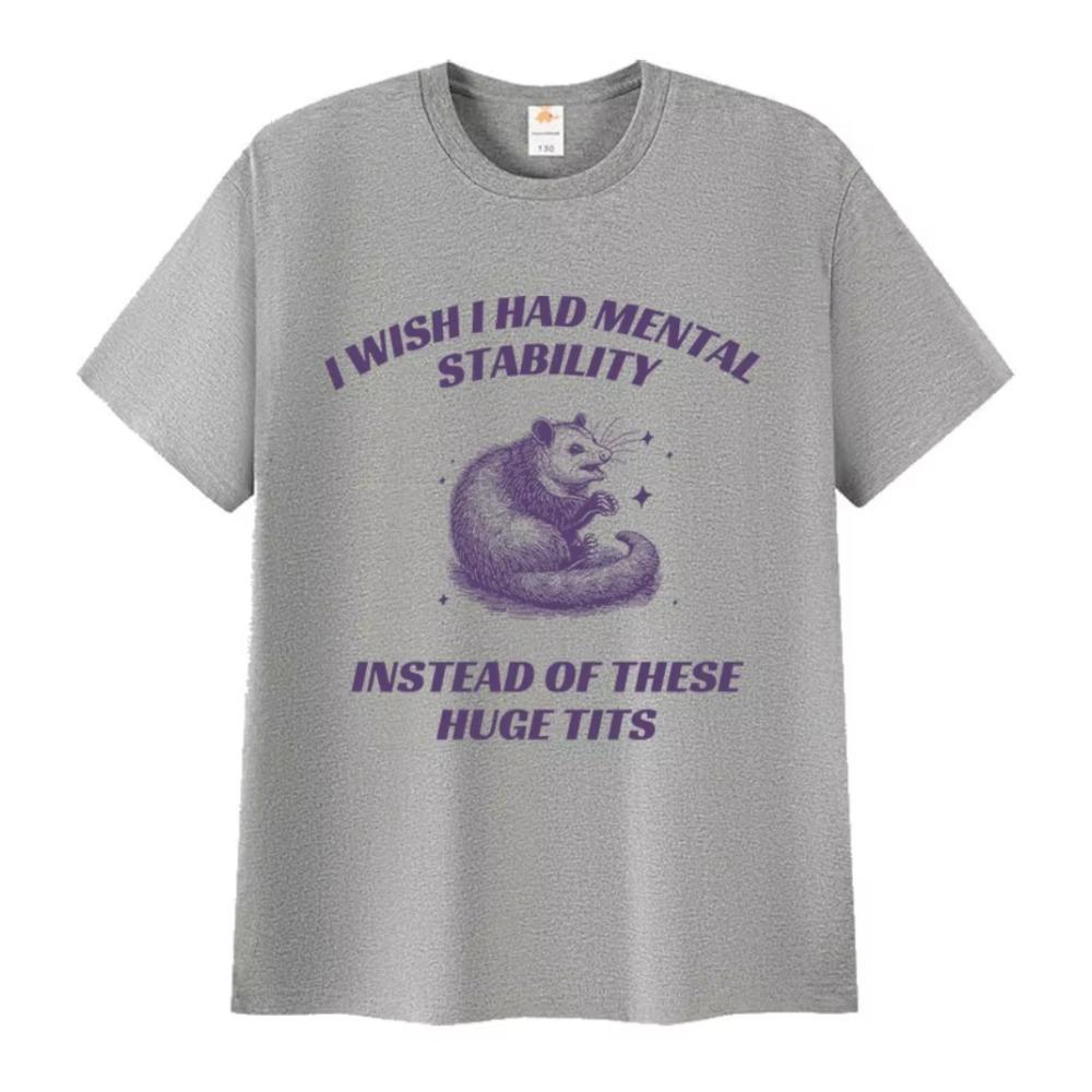 Funny I Wish I Had Mental Stability Racoon Meme T Shirts Men's Women Casual High Quality Oversized Cotton T-shirt Harajuku Tops