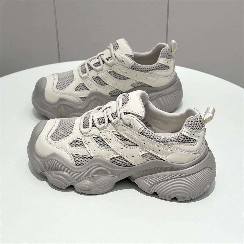Korean Street-Style Trendy Dad Shoes: 2025 Spring Breathable Versatile Net Red Hiking & Casual Sports Shoes for Women