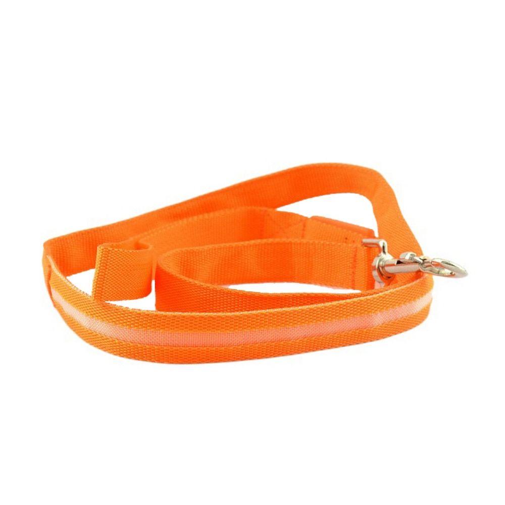 Adjustable LED Light Up Dog Leash Nylon Dog Glowing Walking Rope  At Night