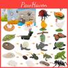 Animal Model Set Pvc Collectible Insect Bird Reptile Amphibian For Education And Display