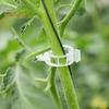 100/200/300/400/500Pcs Garden Plant Support Clips Grape Tomato Ties Vegetable Vine Stem Fixing Clip Cucumber Flower Squash Vine Upright Climbing