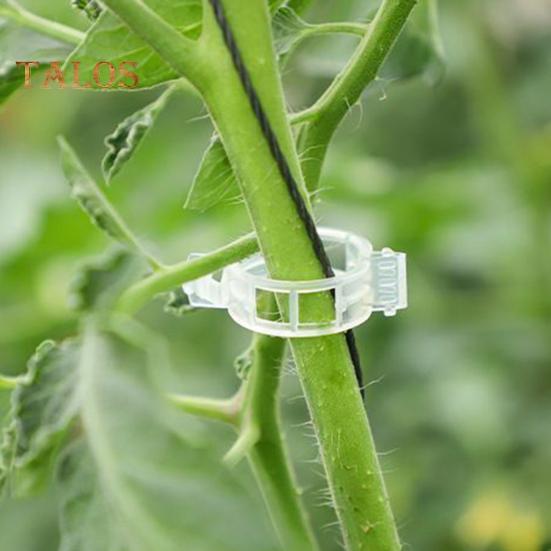 100/200/300/400/500Pcs Garden Plant Support Clips Grape Tomato Ties Vegetable Vine Stem Fixing Clip Cucumber Flower Squash Vine Upright Climbing