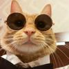Pet Round Frame Sunglasses - Trendy Retro Glasses for Dogs and Cats