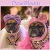 Ropa y calzado – Accesorios para perros