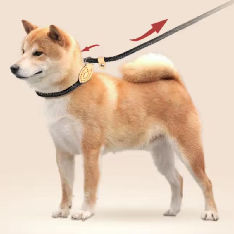 Dog Leash Slip Rope Lead Leash Heavy Duty Braided Rope Adjustable Loop Collar Training Leashes for Small Medium Dogs