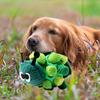 Caterpillar Shape Pet Sniffing Fried Ball Toy Dog Blind Box Hidden Food Bubble Rubber Ball Sniffing Puzzle Anti-demolition Toy