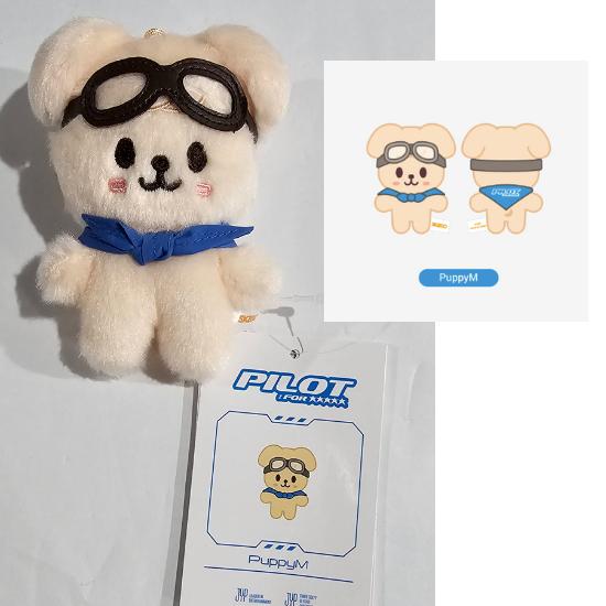 【新品未開封】SKZOO PLUSH 10CM Ver.PILOT 全8種+特典 Stray Kids · SKzoo 10cm Plush - 'PILOT : For 5 Star (PLUSH