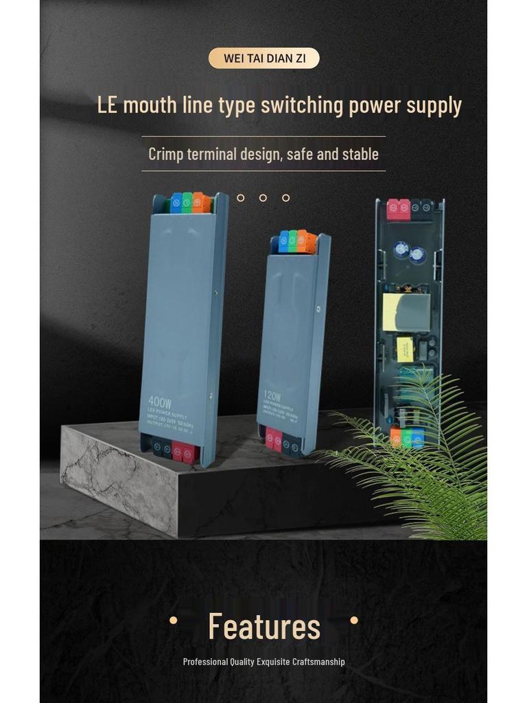 LED Innen Black Diamond Treiber: 220V auf 12V/24V Transformator