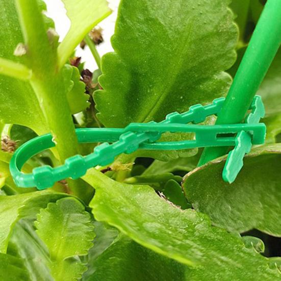 Regulowane opaski do roślin Wielofunkcyjne Elastyczne Plastikowe Opaski zaciskowe Opaski do zarządzania kablami Ogrodowe Opaski wspierające rośliny dla pnączy Krzewów
