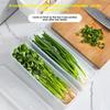 Food-grade Storage Box for Large and Small Scallions, Coriander, Whole Ginger, Garlic, Noodles, Eggs, and Refrigerator