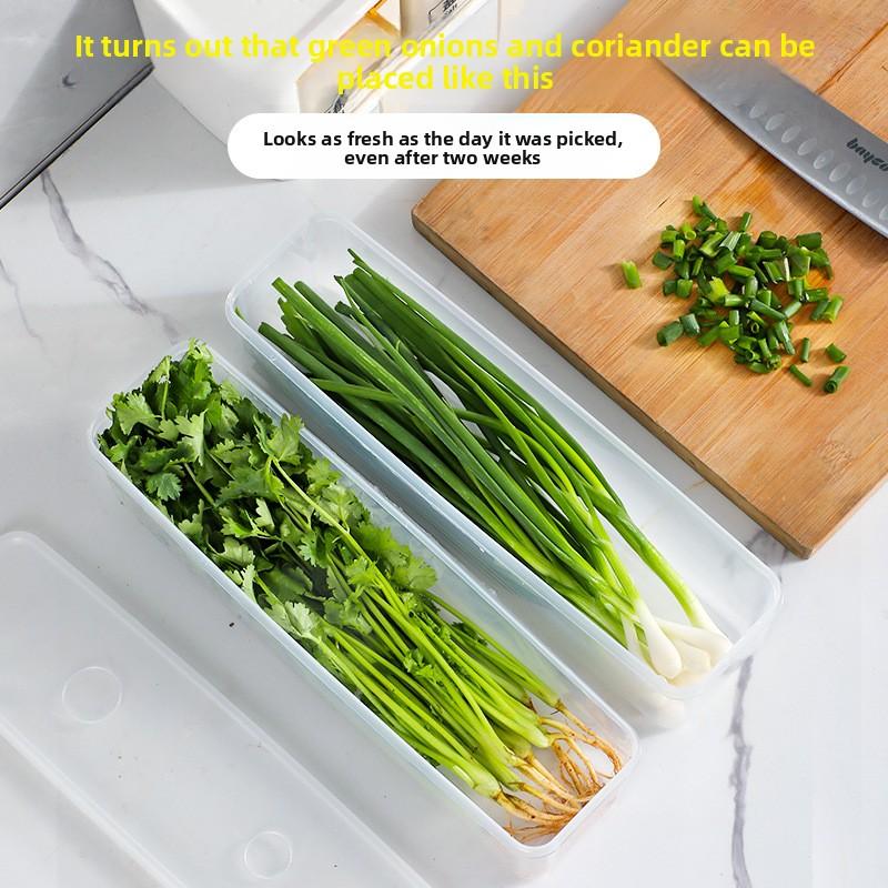 Food-grade Storage Box for Large and Small Scallions, Coriander, Whole Ginger, Garlic, Noodles, Eggs, and Refrigerator