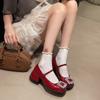 Autumn Women's Chunky Heel Mary Janes Shoes New Square Toe Rhinestones Square Buckle Heeled Shoes for Women Pumps  Shoes