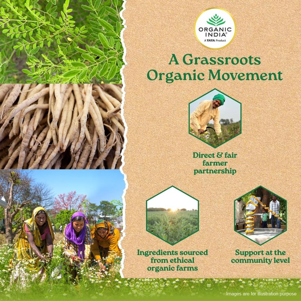 Organic India Osteoseal 60 Capsule Herbal Bone Support Supplement for Strong Bones & Healthy Teeth