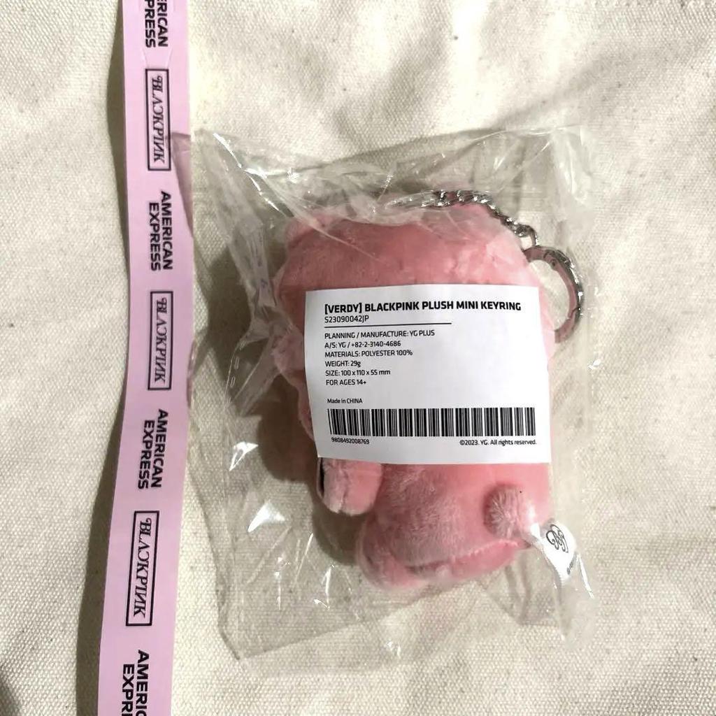 [USED] BLACKPINK verdy BINKY KEYCHAIN