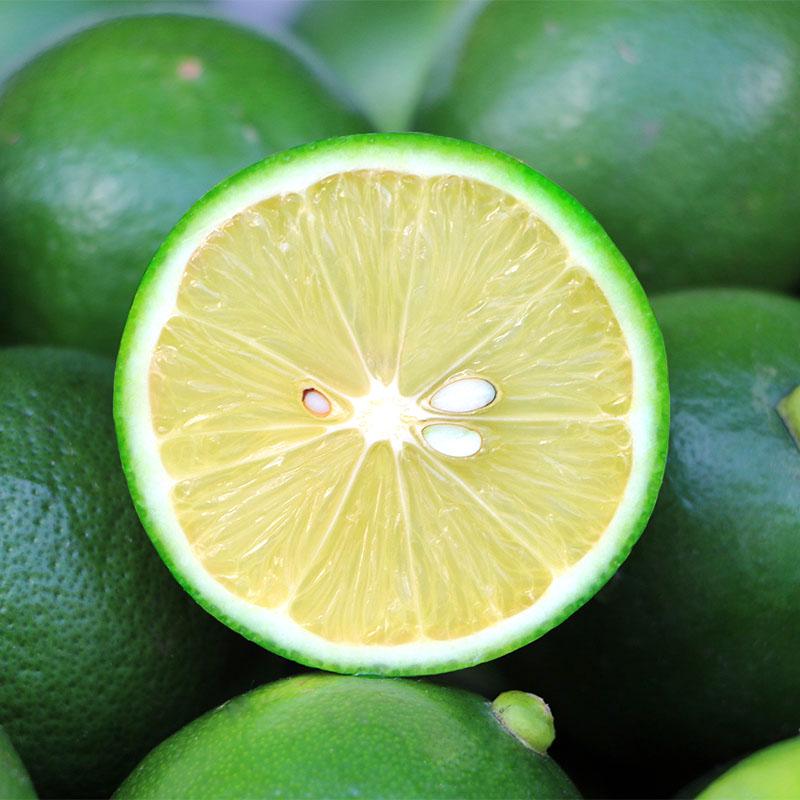 Thai Organic Key Lime Aurantifolia Seeds Citrus Lemon Seeds Fruit Seeds 20PCS Thai Organic Key Lime Aurantifolia Seeds Citrus Lemon Seeds Fruit Seeds 20PCS