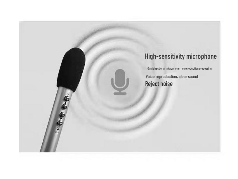 Suoxue 2.4G Wireless Handheld Microphone with Mini Amplifier for Teachers and Classrooms