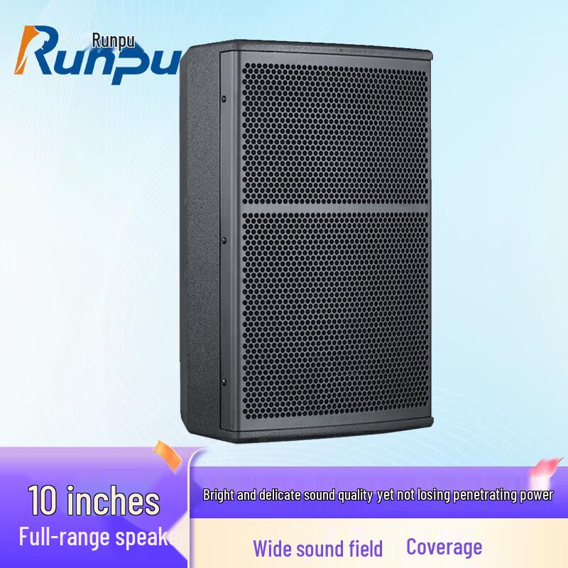 

Runpu RP-HYX610 10-inch Full-Range Conference Speaker (CN version)