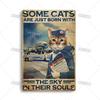 Artisian Flying Metal Sign Pilot Tin Poster Flight Attendant Decorative Plate Wall Decor Garage Bar Pub Club Hotel Cafe Kitchen