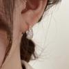 Elegant Zirconia Water Drop Copper Earrings for Women - Versatile, Fashionable, and High-End Feel.