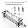 Leiqi SMC Standard Air Cylinder CN plug (adapter included)