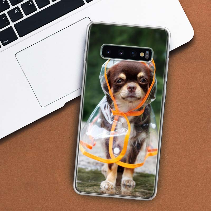 Chihuahua Puppy Teacup Dogs Phone Case For Samsung Galaxy M21 M12 M31S M32 M51 M52 Note 20 Ulte 10 Plus 9 8 J4 J6 + J8 M11 F52 F