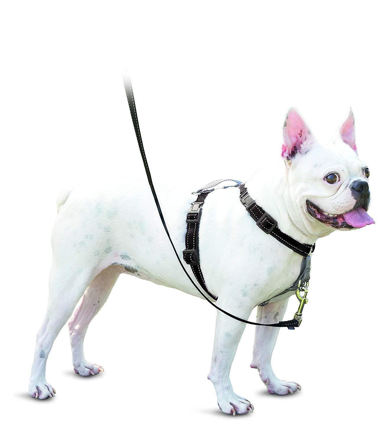 

PetSafe Dog Size Small 3-in-1 Harness, Black, чёрный