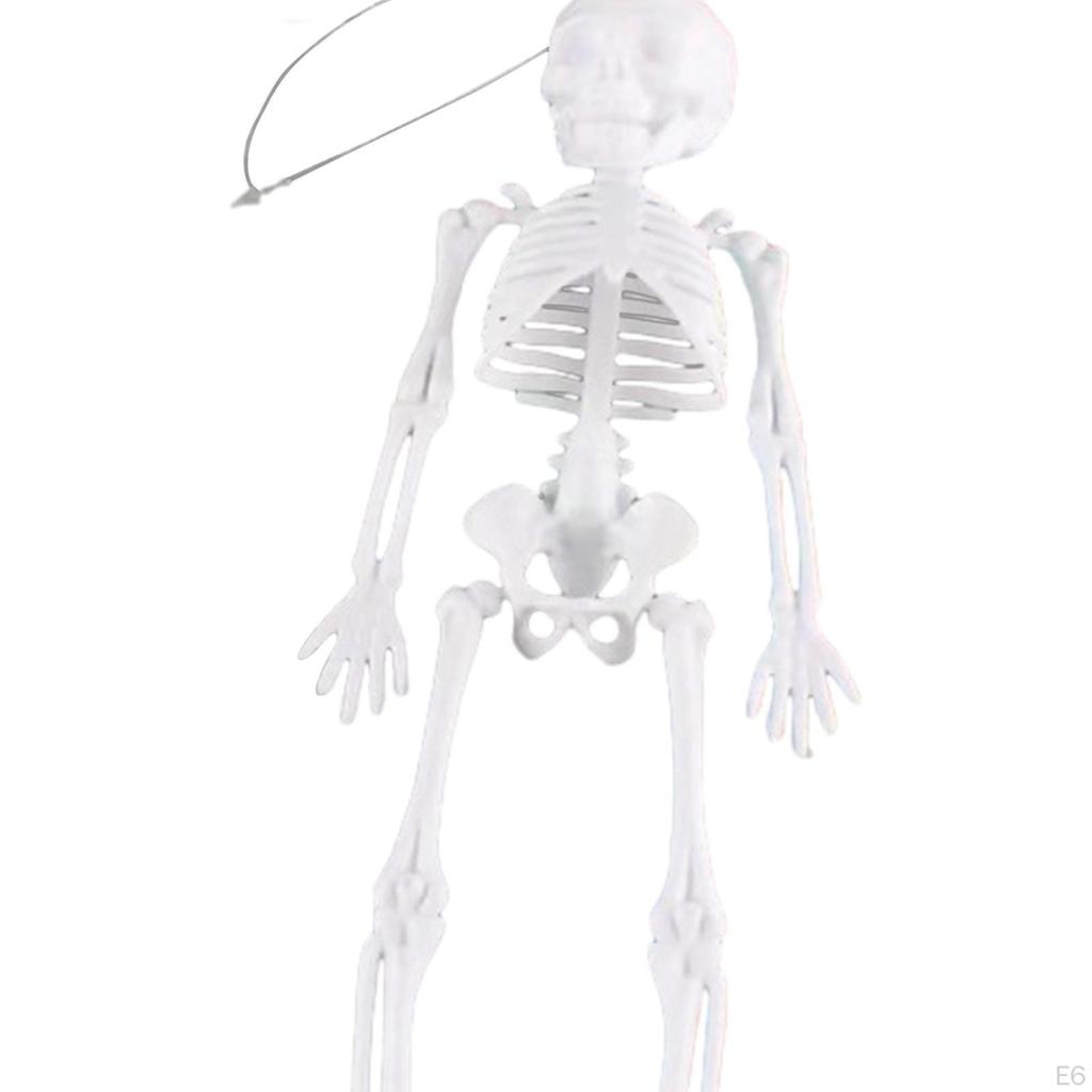 Halloween Skeleton Decoration Full Body Movable Joints Skeletons Model for Spooky Scene