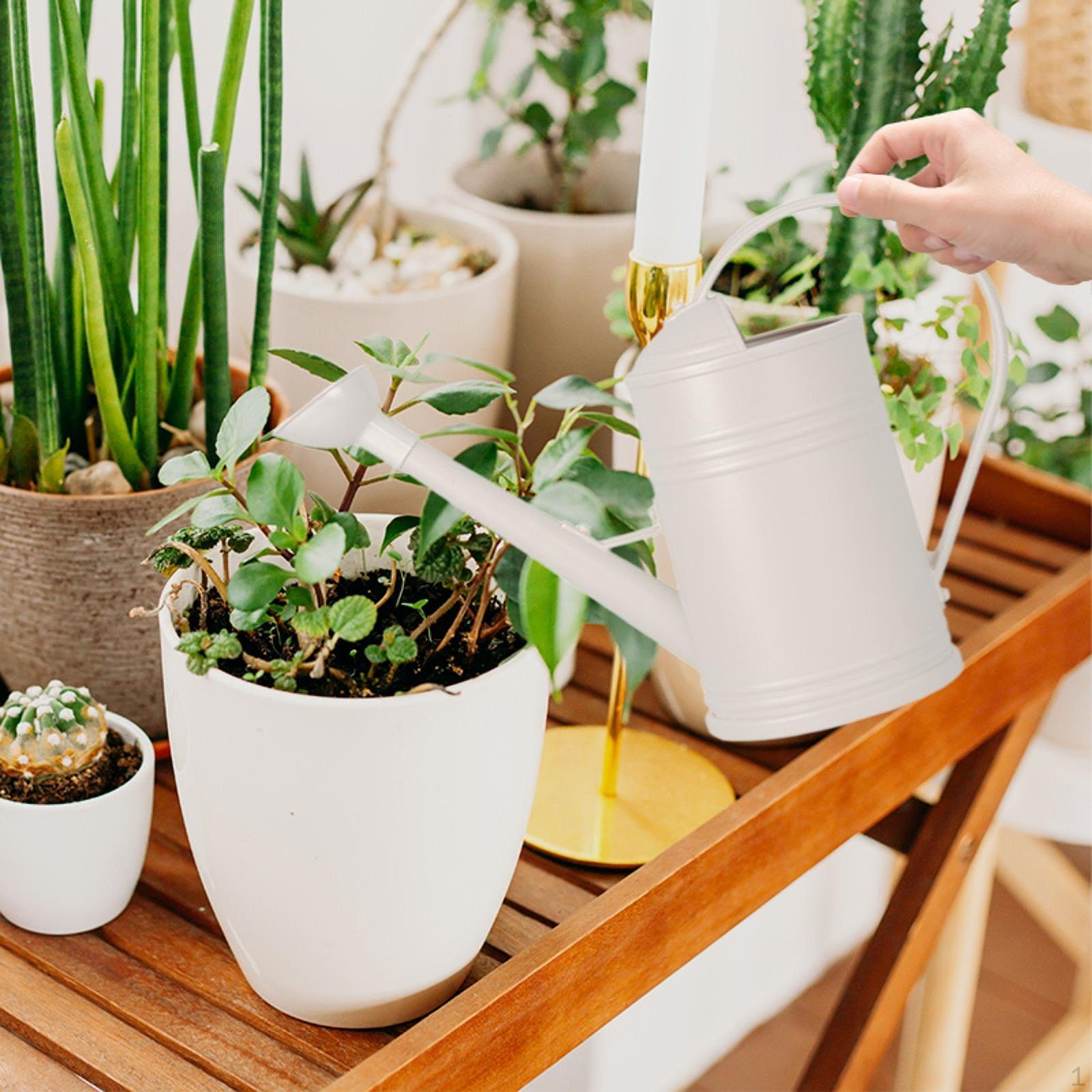 

Decorative Sprinkler Can for Home Flower Care 2L білий