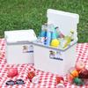 YouTuoZhe 6L Portable Cold & Warm Cooler Box