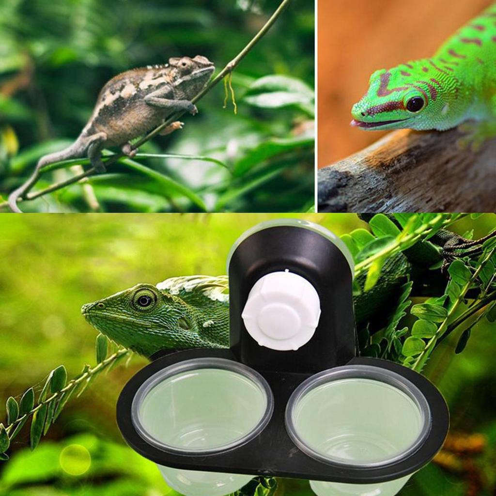 Reptile Food and Water Dish Gecko Feeding Cups Dispenser with 4 Cups Ledge Accessories Tray for Tarantula Frog Lizard Chameleons