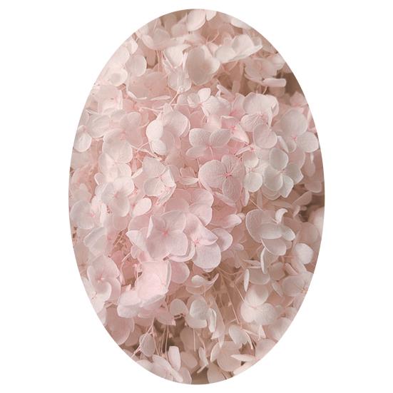 Excellent Dried Flower Heads Eye-catching 21 Styles Decorative