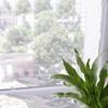 Mosquito Window Net Anti Mosquito Net Indoor Insect Fly High Quality Durable Household Item Mesh Screen Curtain Home Protector