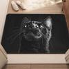 1pc Black Cat HD Printed Non-Slip Door Mat – Microfiber Absorbent, Machine Washable Polyester Rug for Bathroom, Bedroom, Living