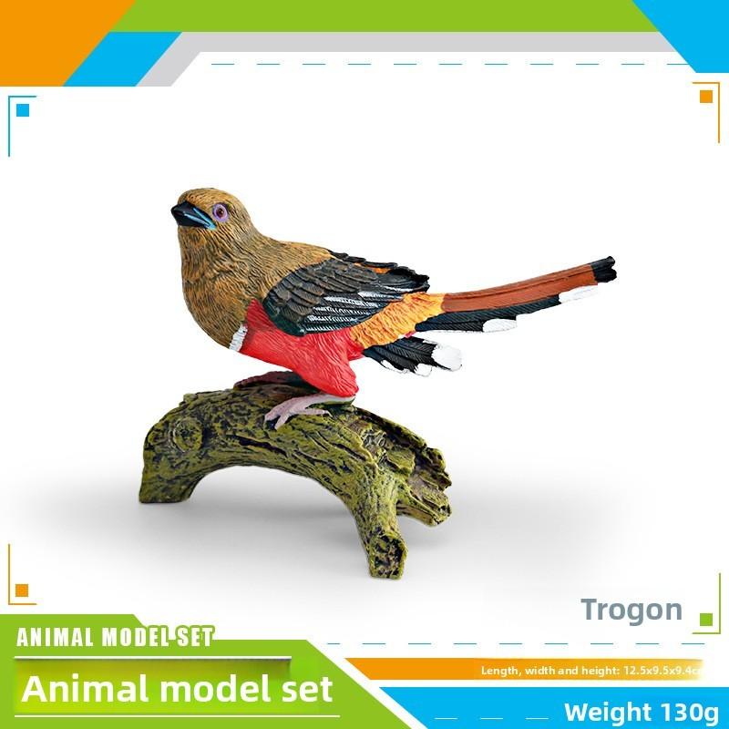 

Trogonidae Bird Model For Kids Educational Play And Nature Themed Interior Decor Finch