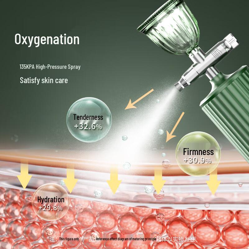 MKS Handheld Facial Oxygen Infusion Sprayer