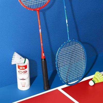 Badminton – Set da badminton