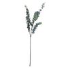 Artificial Tall Single Stem Silver Dollar Eucalyptus